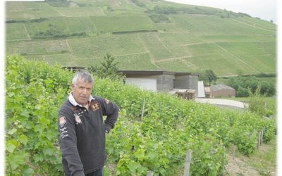 Making the Grand Cru of Sancerre