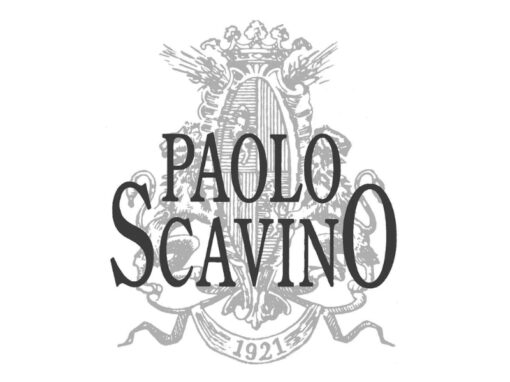 Paolo Scavino